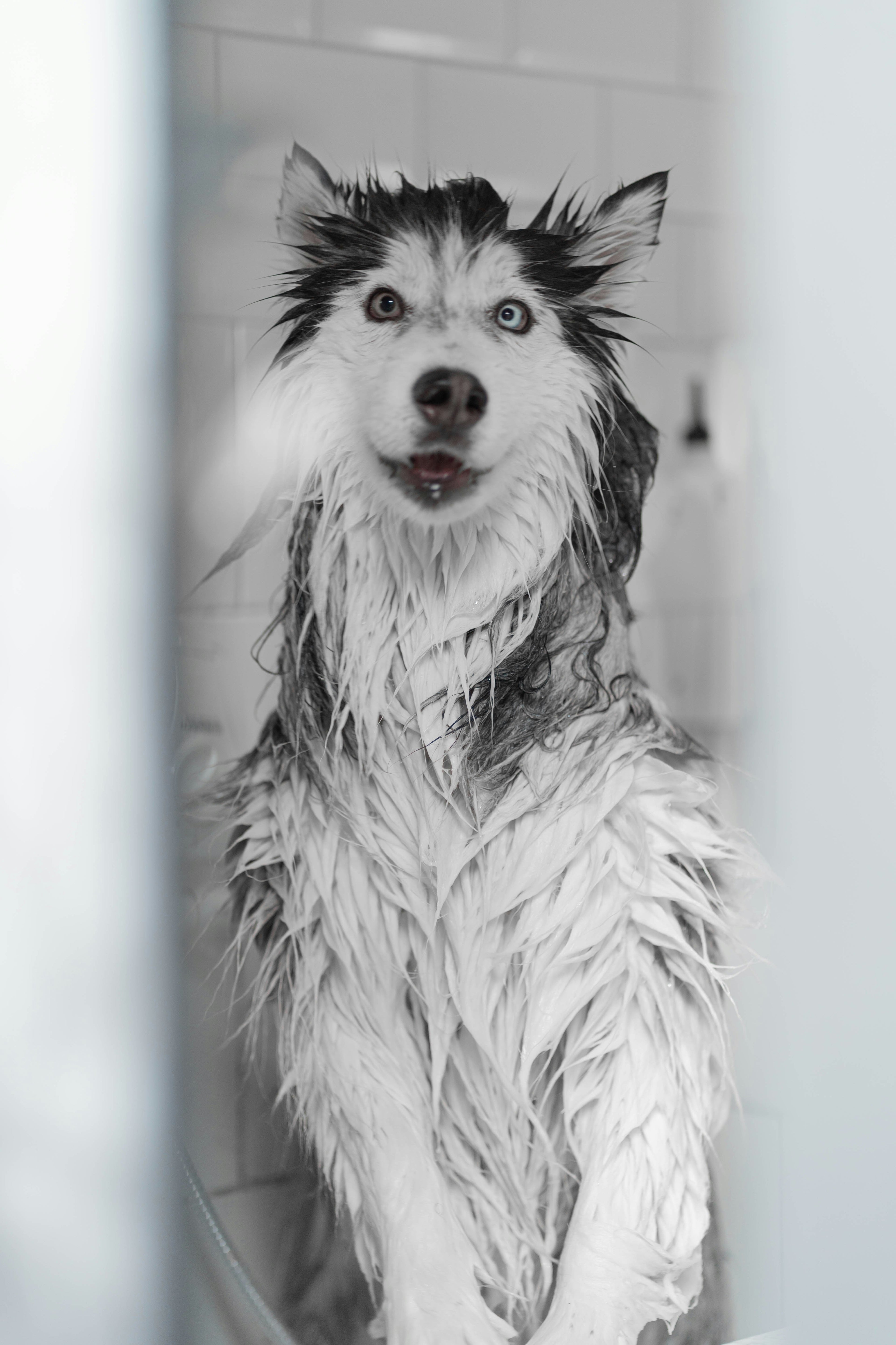 HYGIENE & SOINS