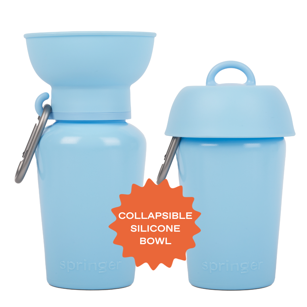 Bouteille d'eau de voyage pour chien 590ml à bouchon flip