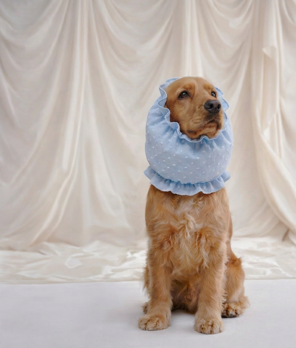 Snood pour chien motif plumetis bleu