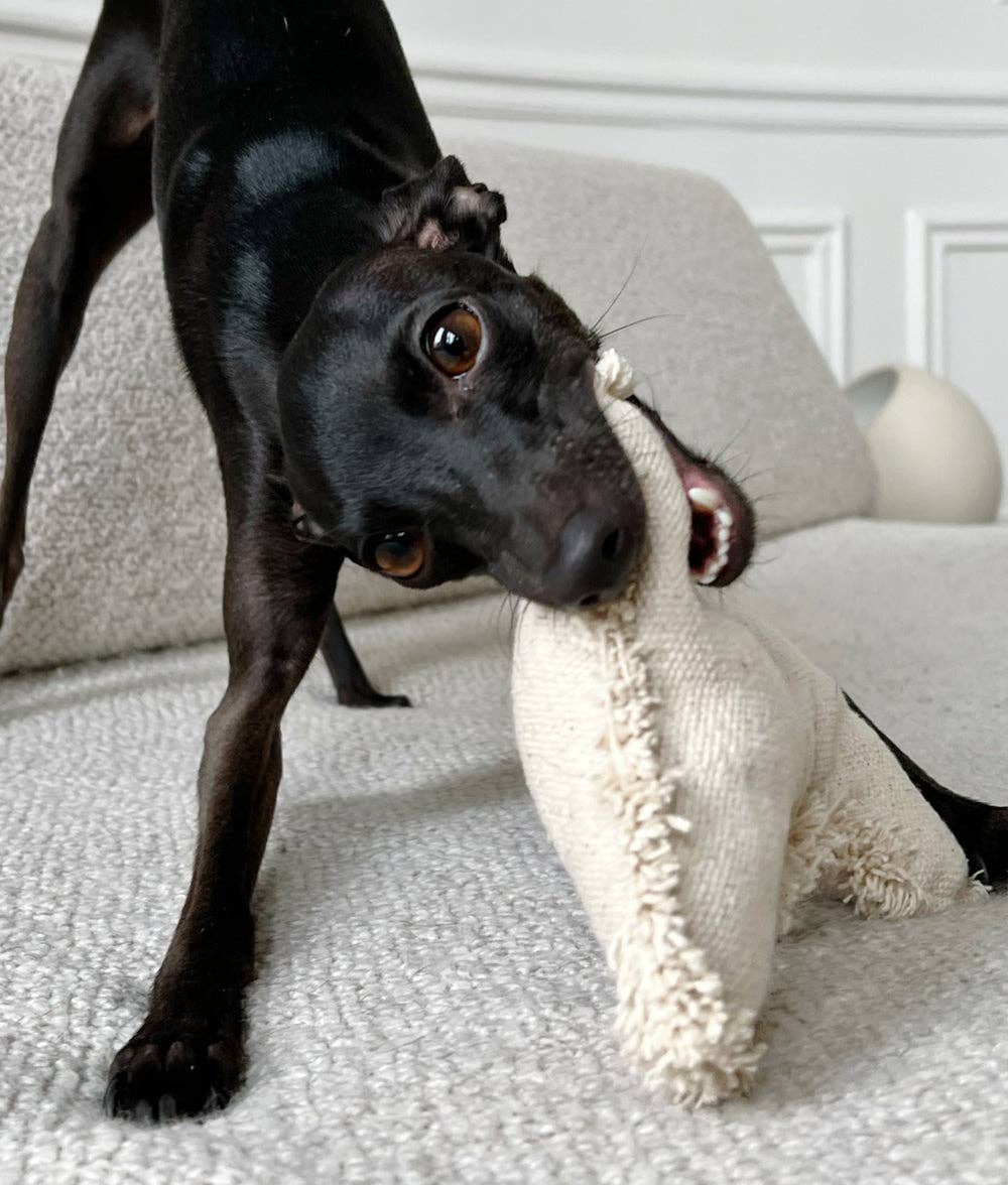 Jouet pour chien beige en forme d’os