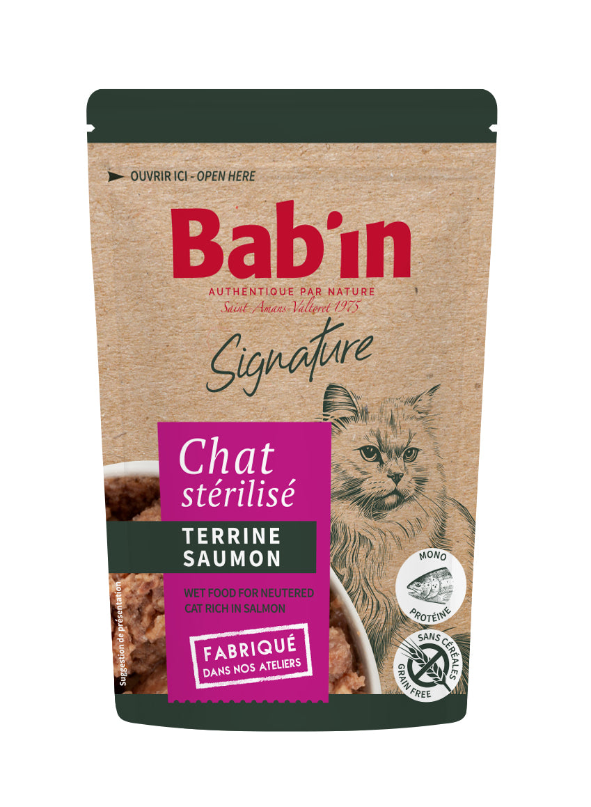 Terrine Chat - Saumon