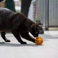 Jouet pour chat Rub Funny Ball x2