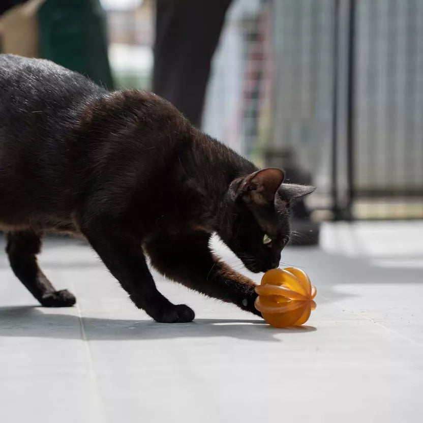 Jouet pour chat Rub Funny Ball x2