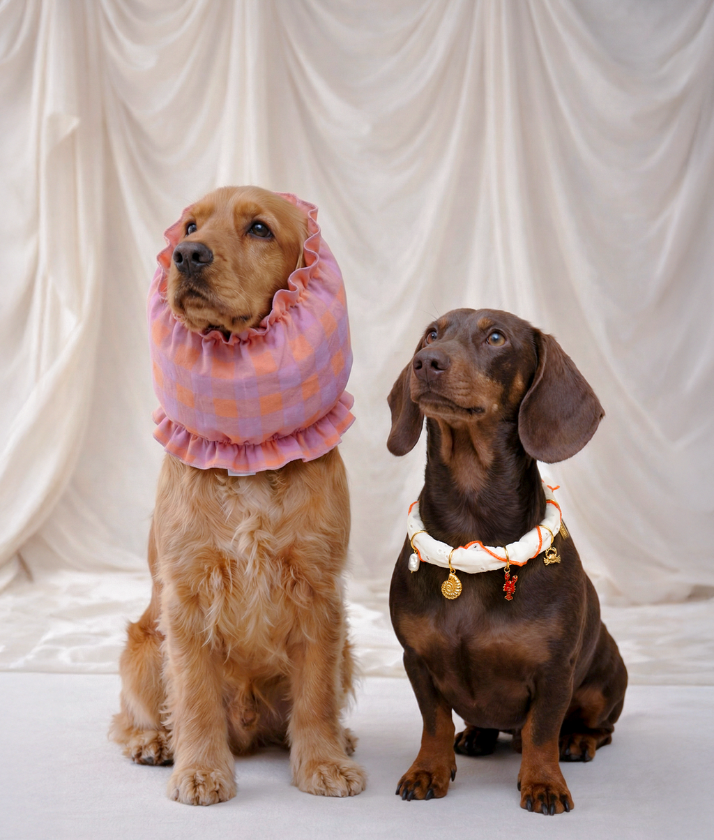 Snood chien motif Vichy violet
