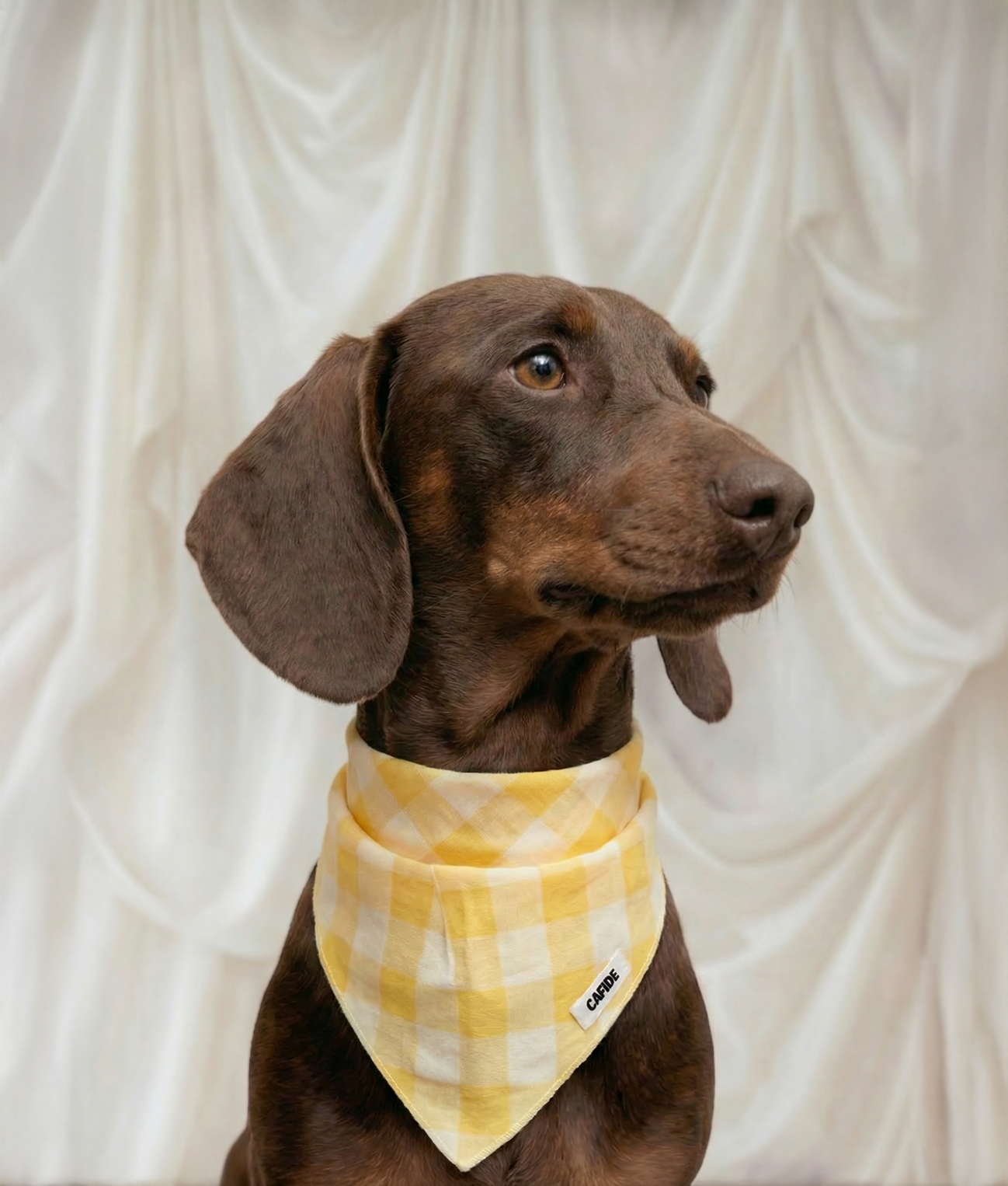 Bandana jaune à carreaux vichy pour chien