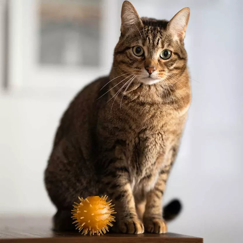 Jouet pour chat Rub Ball avec clochette x2