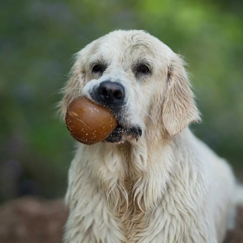 Jouet Rub Ball
