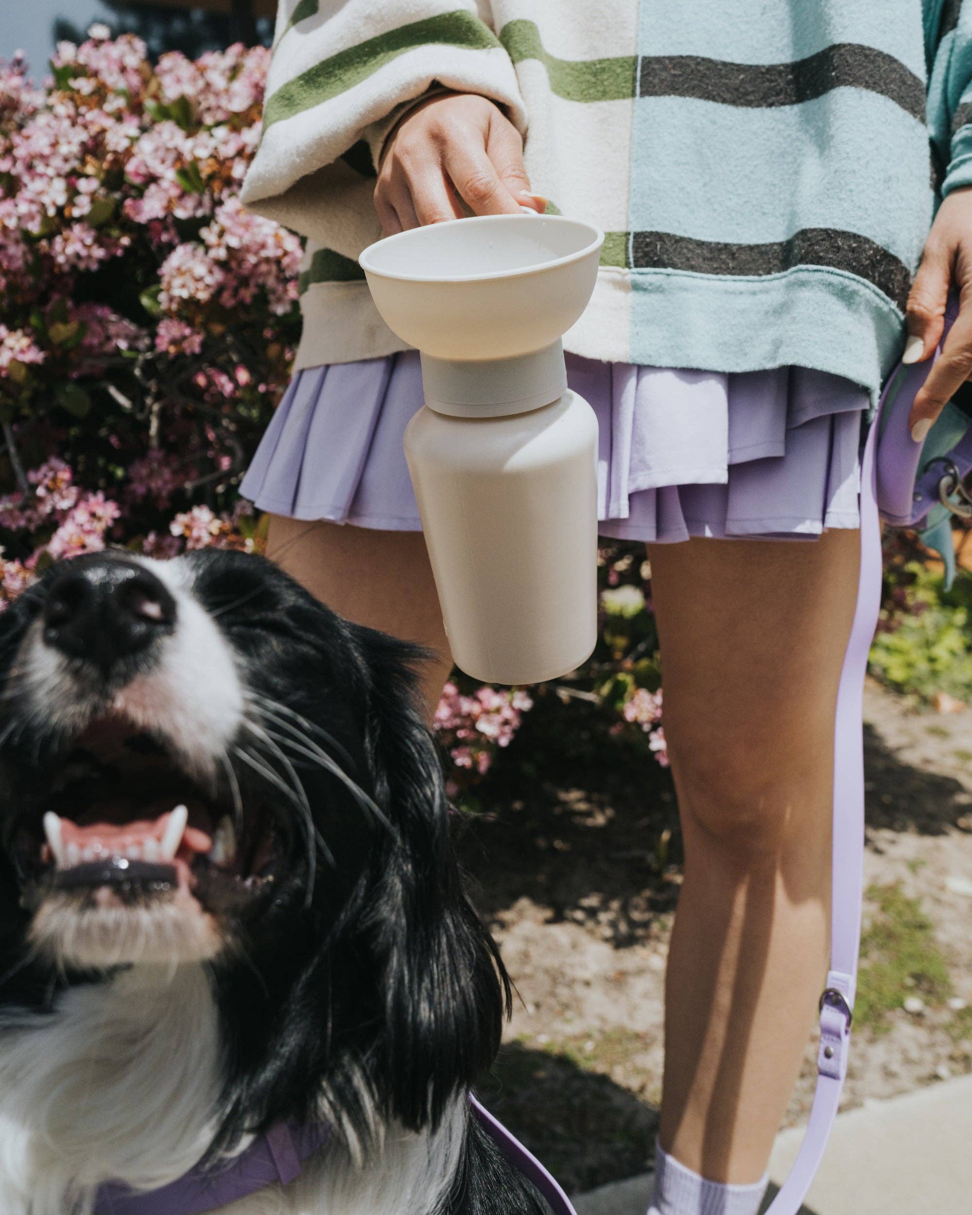 Bouteille d'eau de voyage pour chien 590ml à bouchon flip