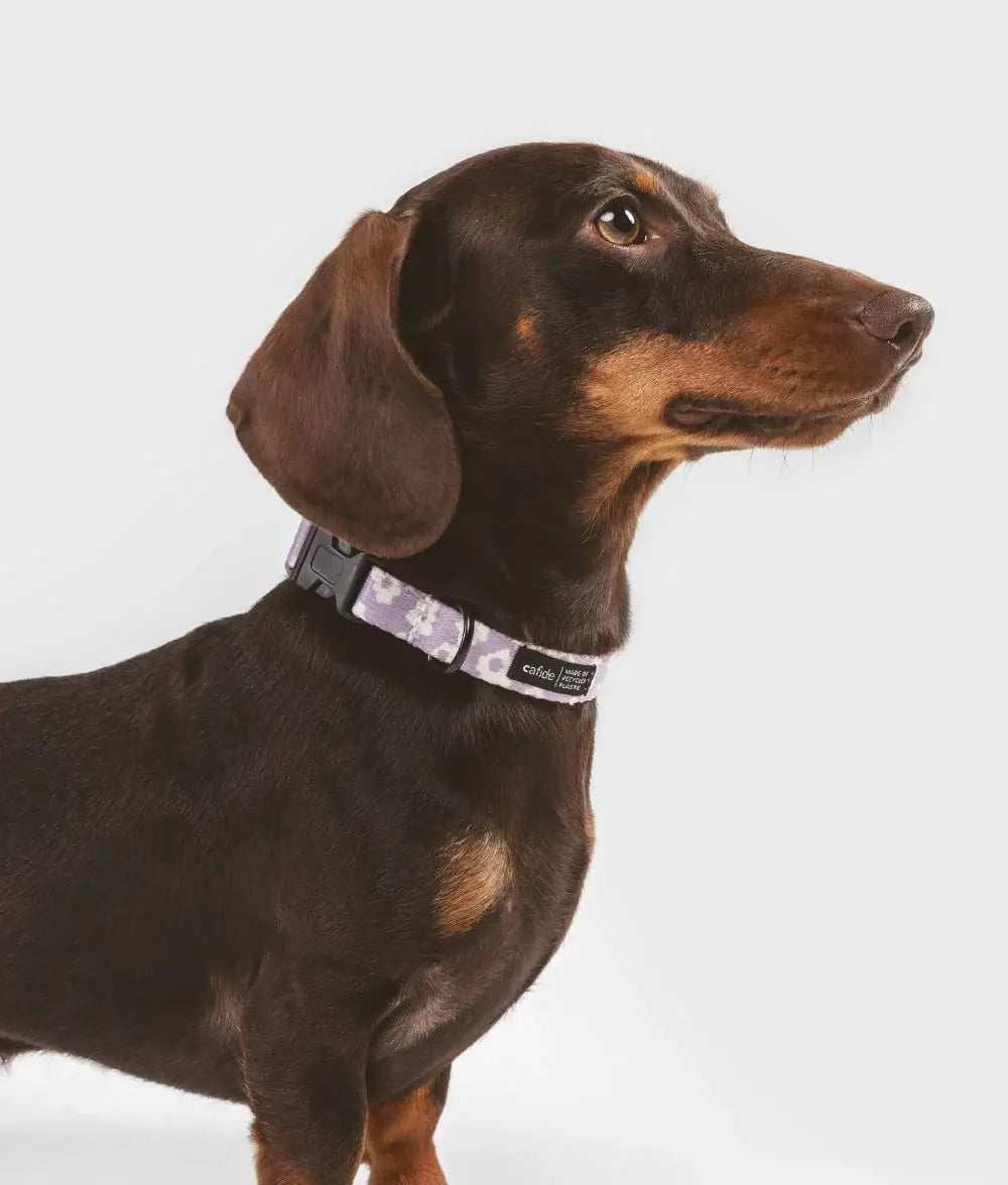 Collier en PET recyclé