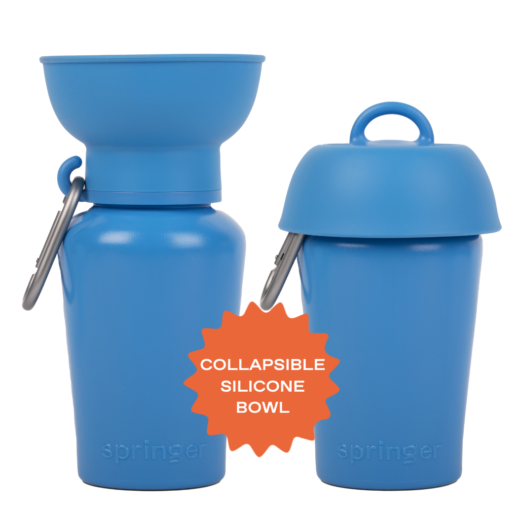 Bouteille d'eau de voyage pour chien 590ml à bouchon flip