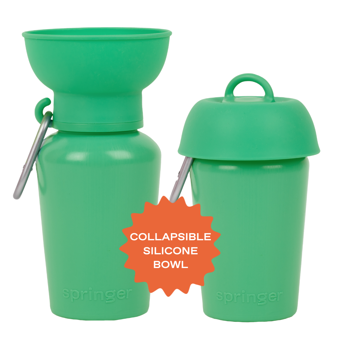 Bouteille d'eau de voyage pour chien 590ml à bouchon flip