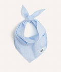Bandana pour chien motif plumetis bleu
