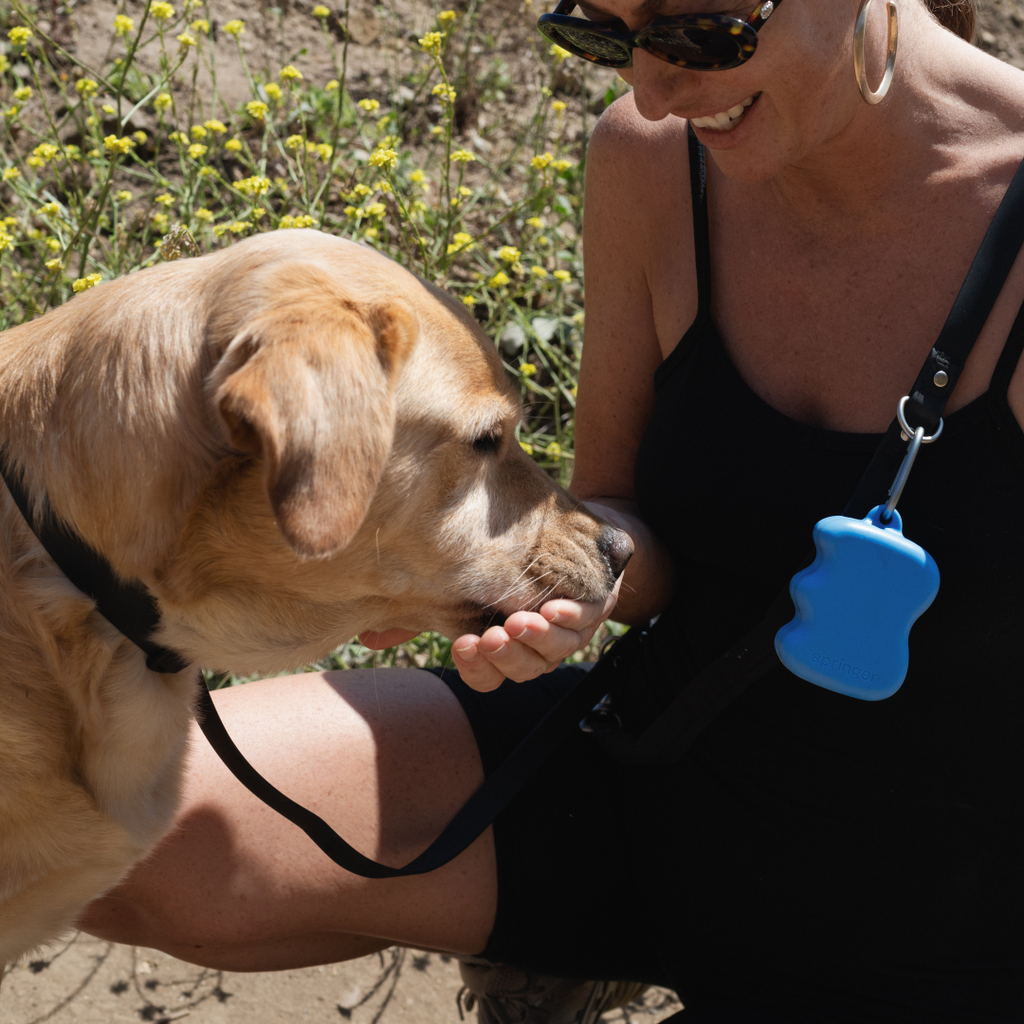 Distributeur de friandises en silicone pour chien