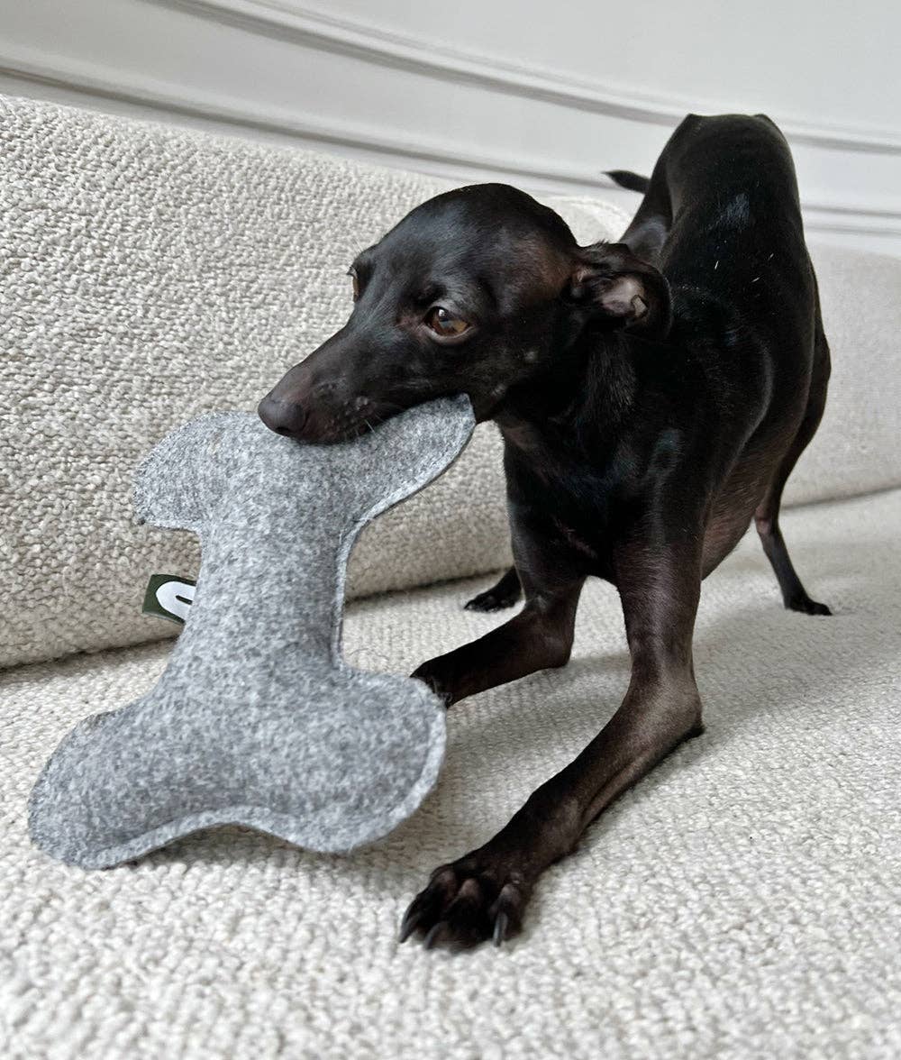 Jouet pour chien beige en forme d’os