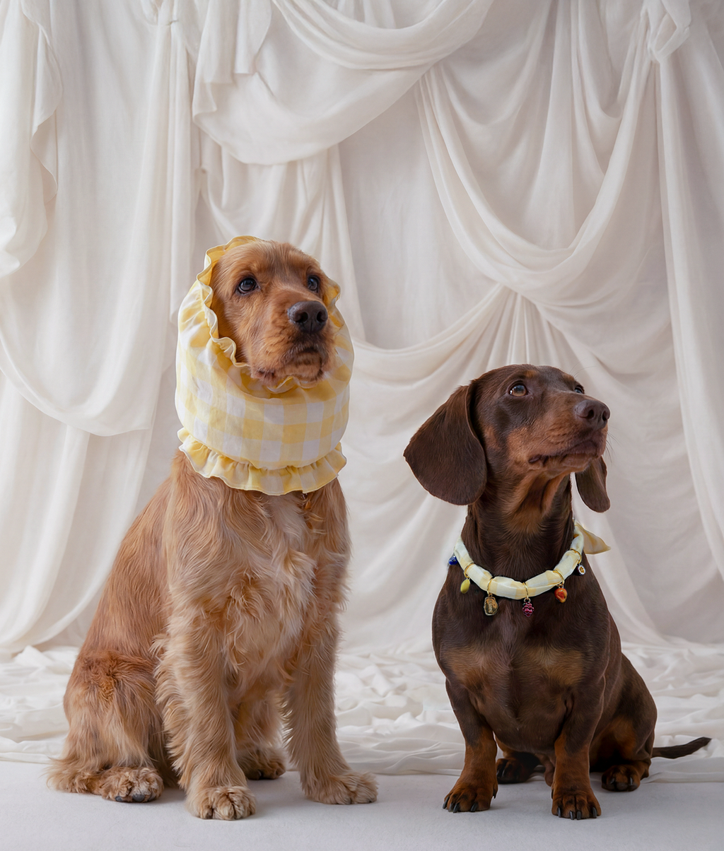 Snood Chien Motif Vichy Jaune
