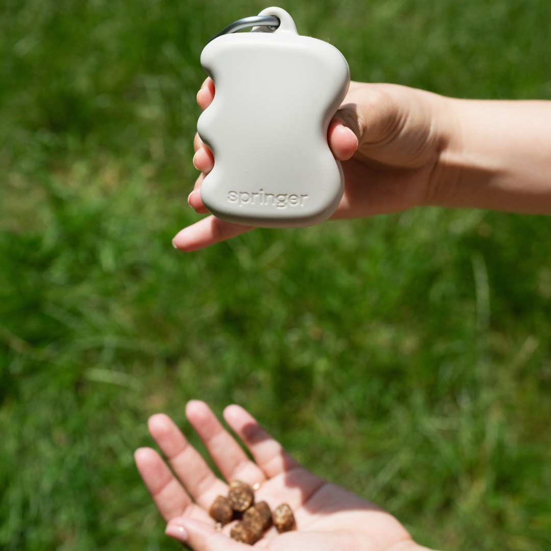 Distributeur de friandises en silicone pour chien