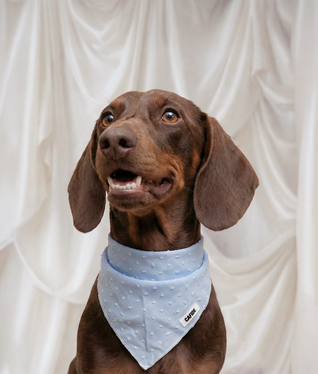 Bandana pour chien motif plumetis bleu