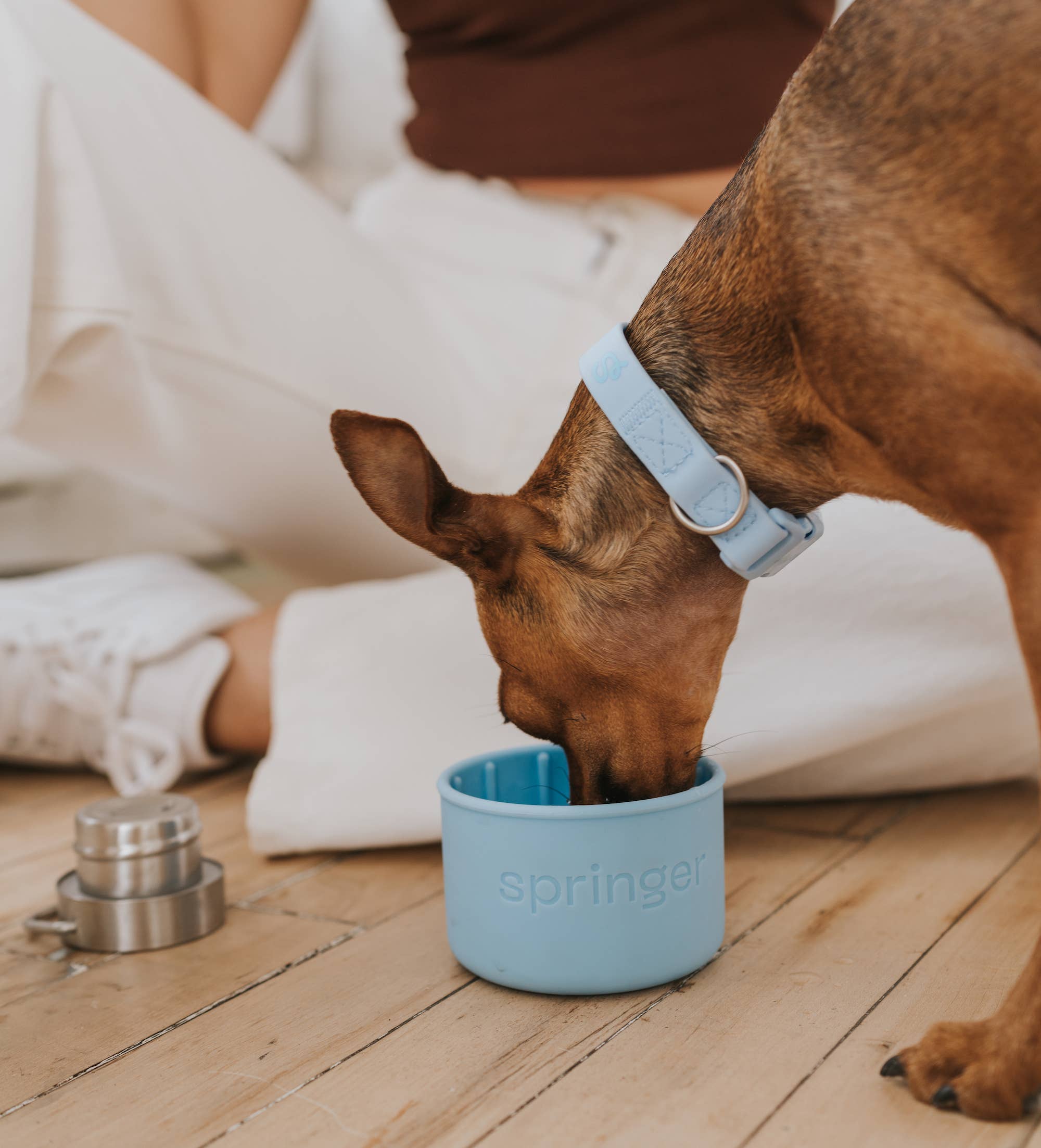 Bouteille isotherme Dog & Me 710 ml avec bol en silicone détachable