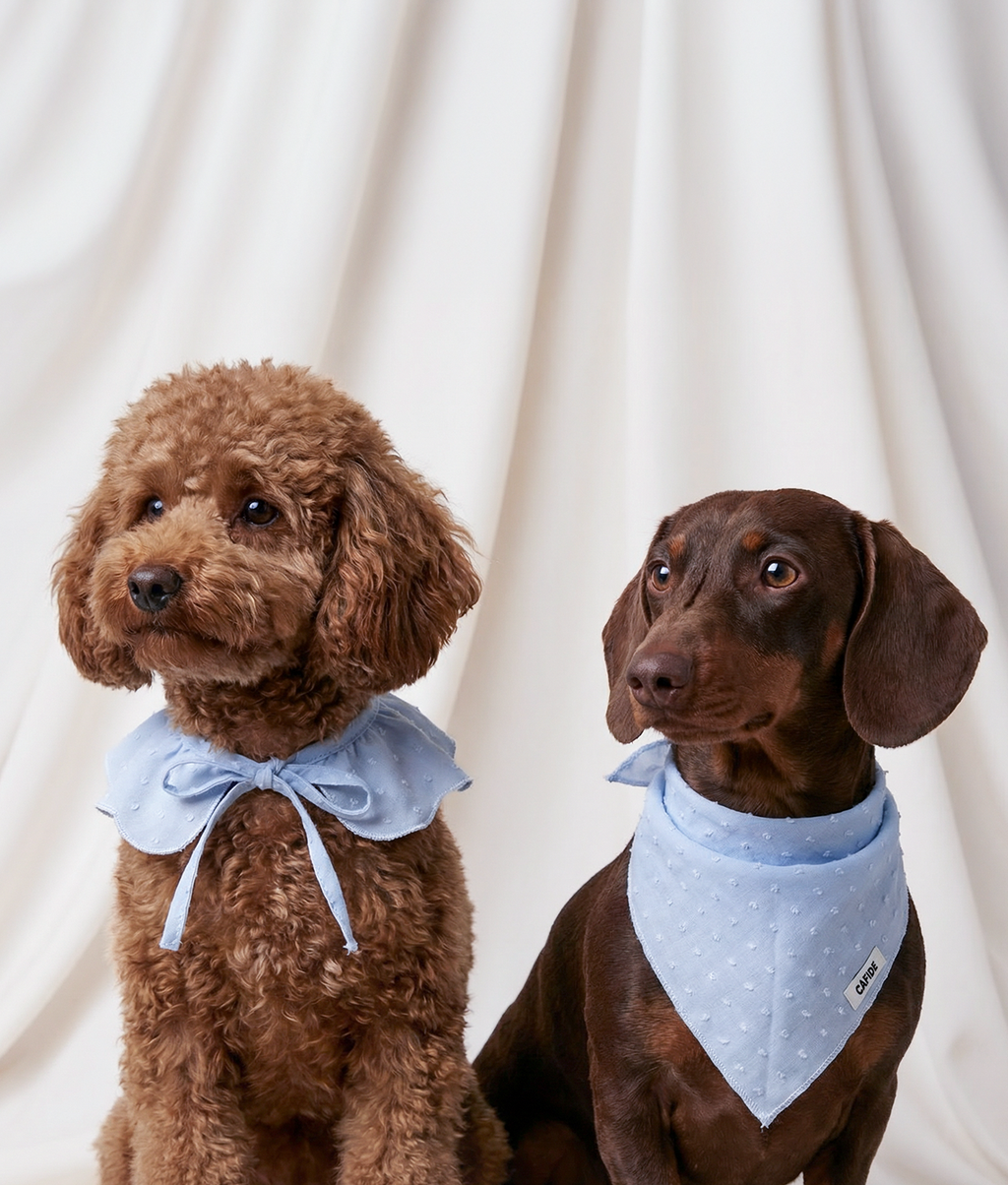 Bandana pour chien motif plumetis bleu