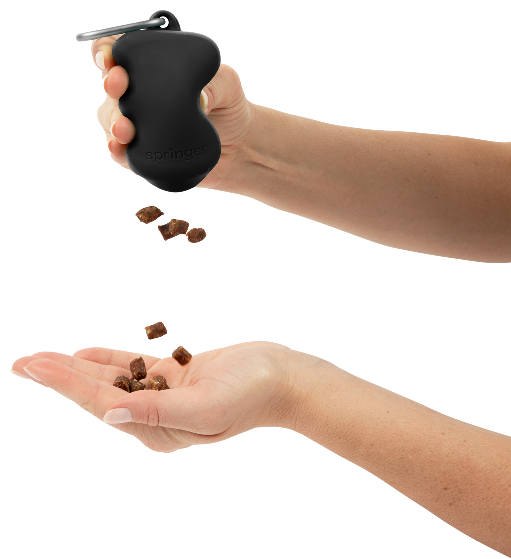 Distributeur de friandises en silicone pour chien