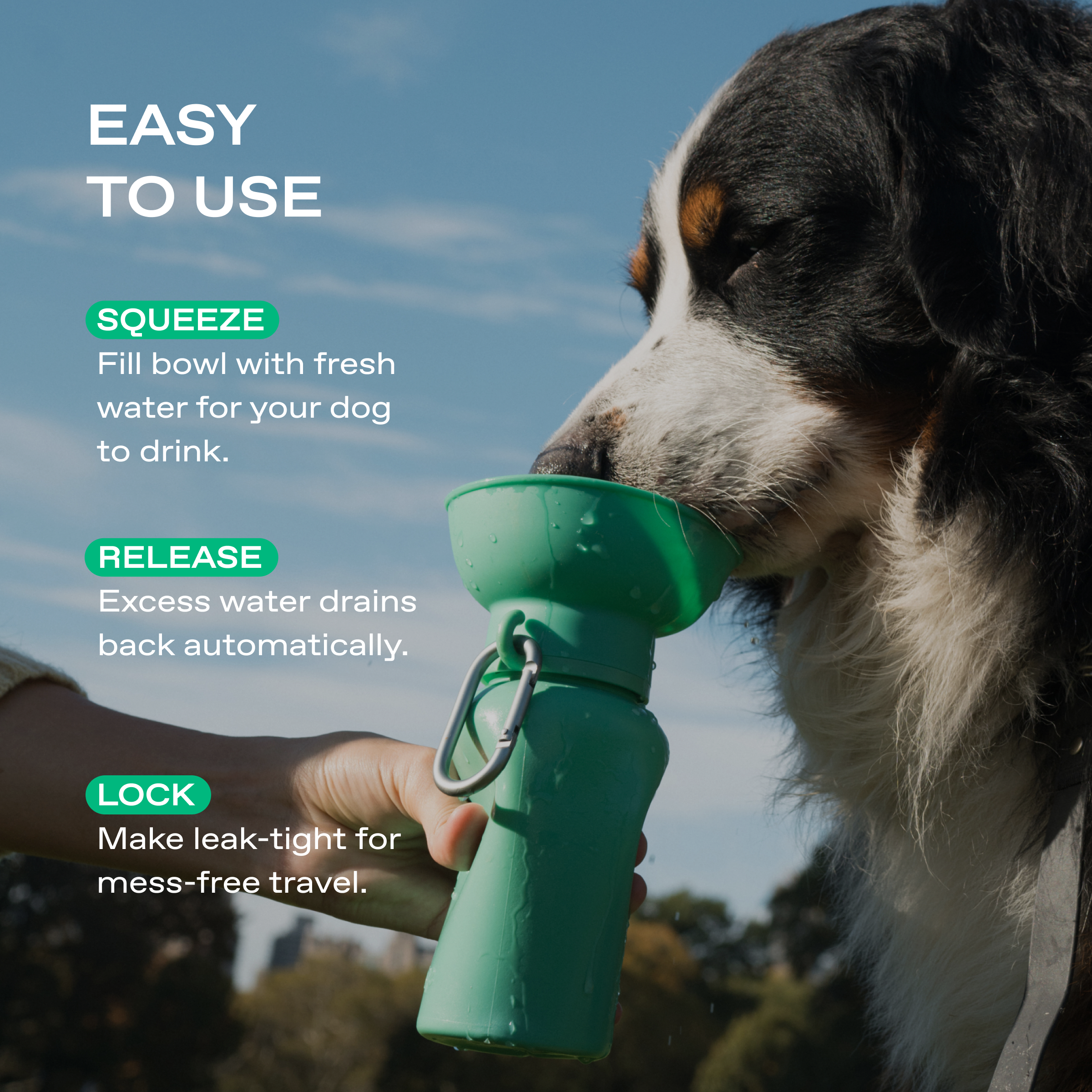 Bouteille d'eau de voyage pour chien 590ml à bouchon flip
