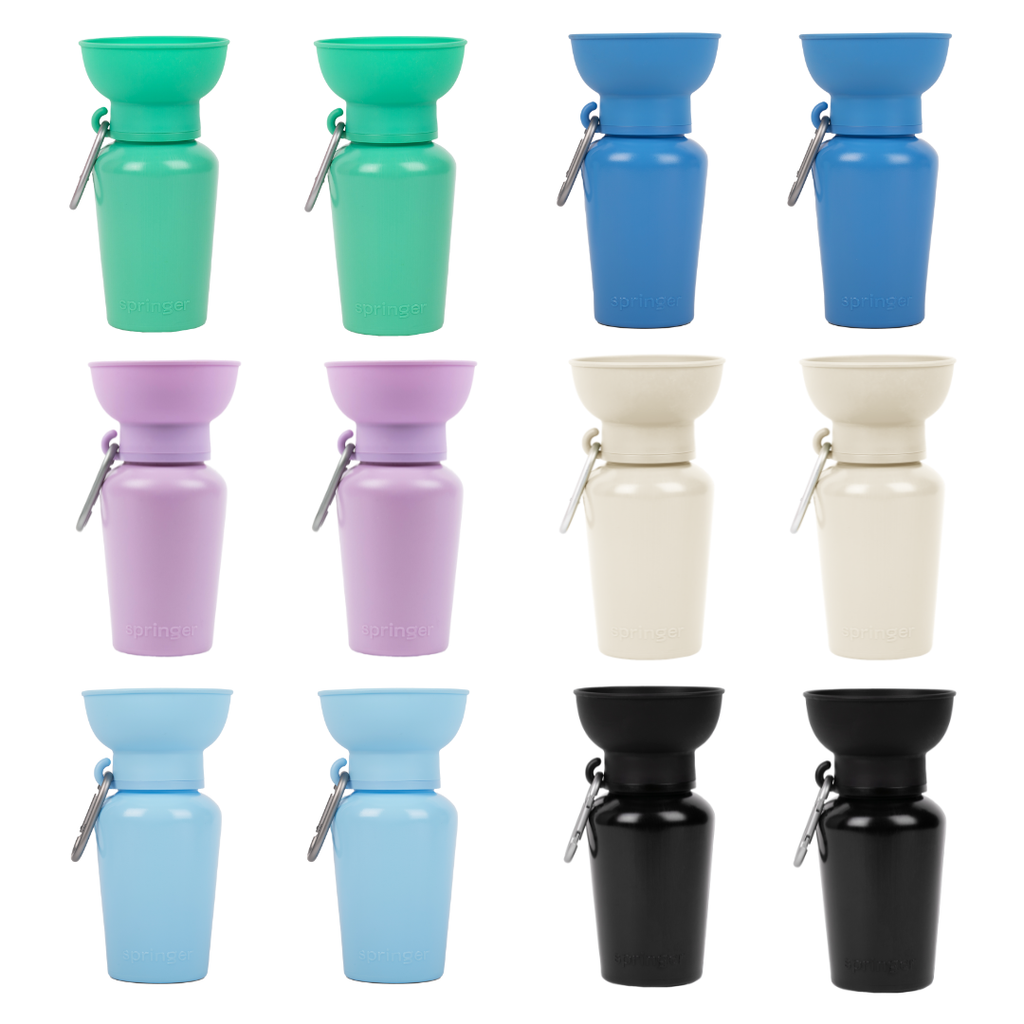 Bouteille d'eau de voyage pour chien 590ml à bouchon flip