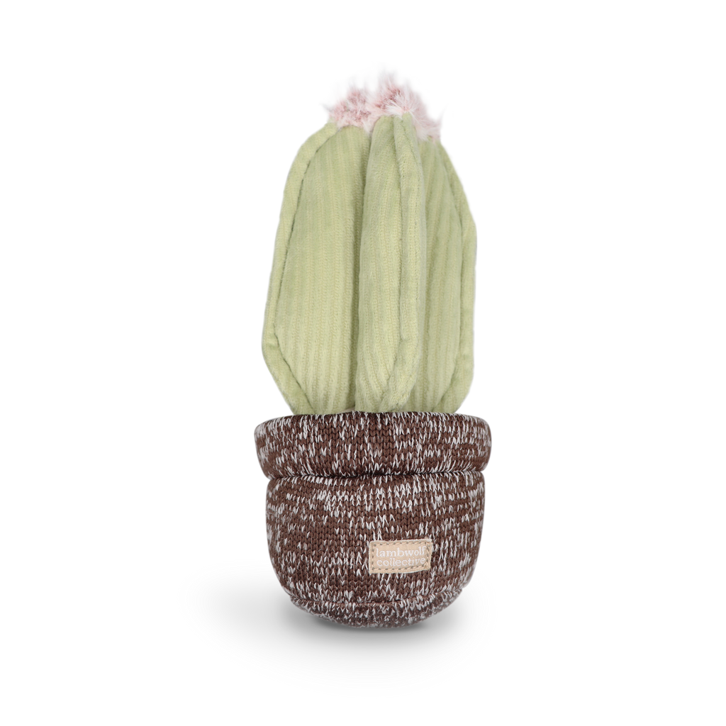 Jouet de fouille - cactus