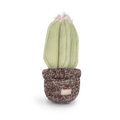 Jouet de fouille - cactus