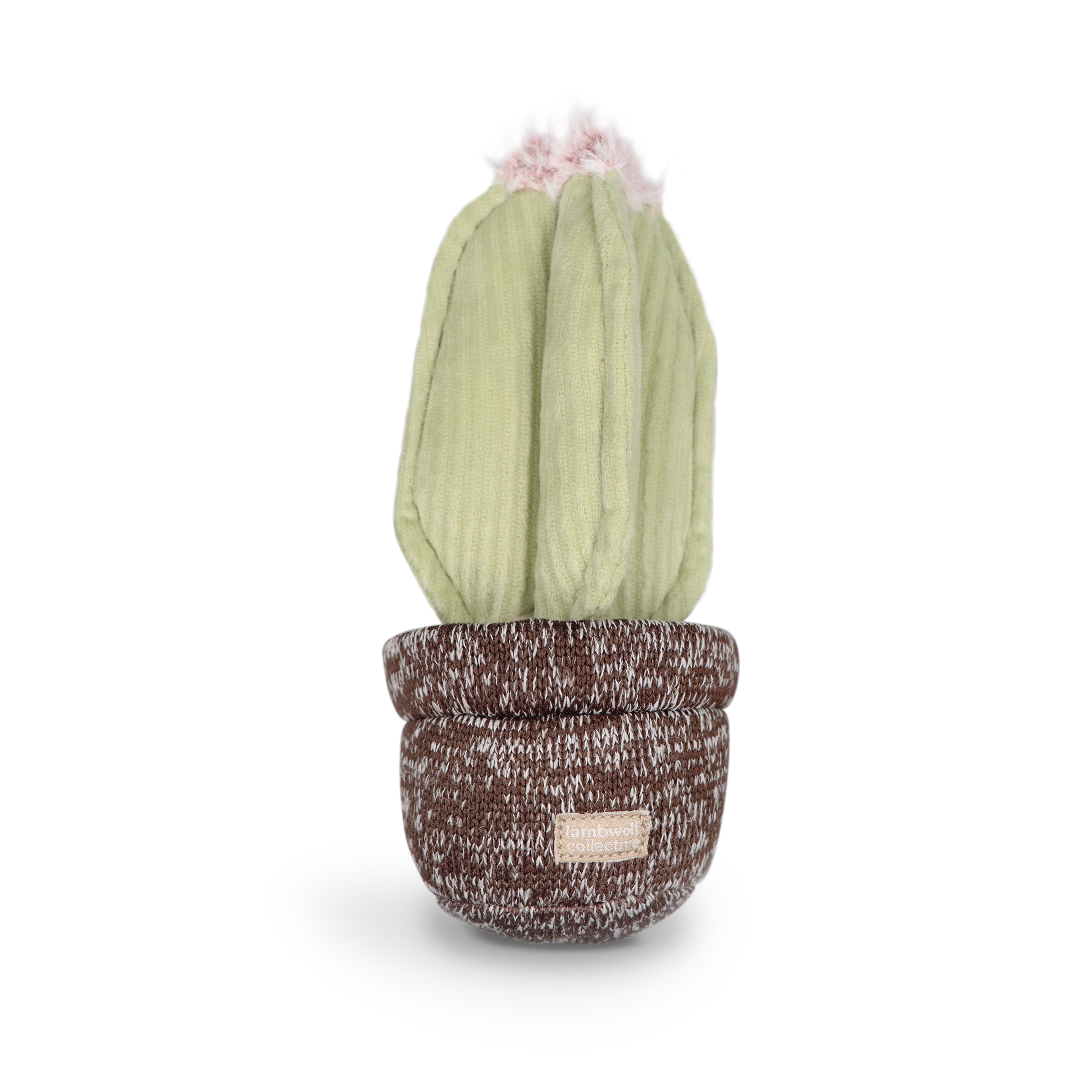 Jouet de fouille - cactus