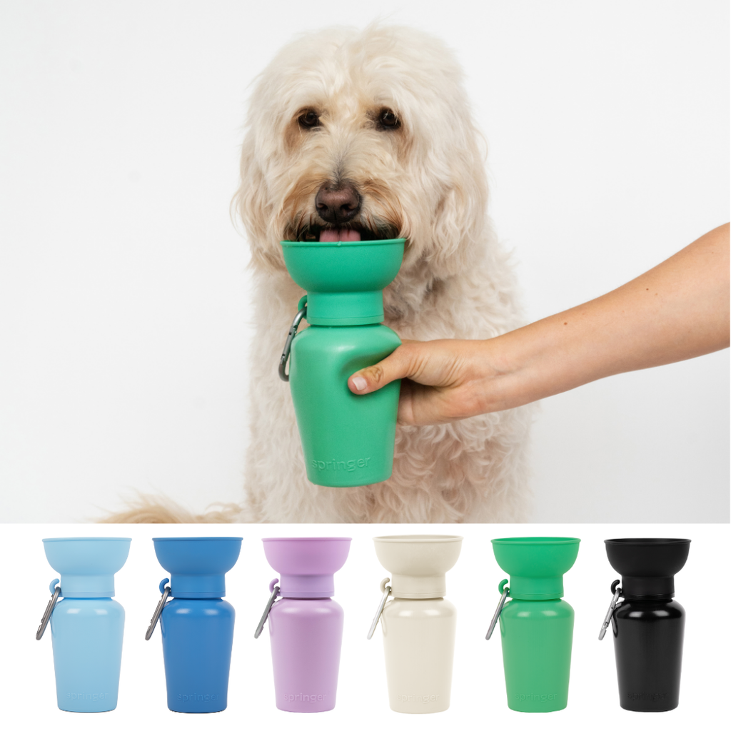 Bouteille d'eau de voyage pour chien 590ml à bouchon flip