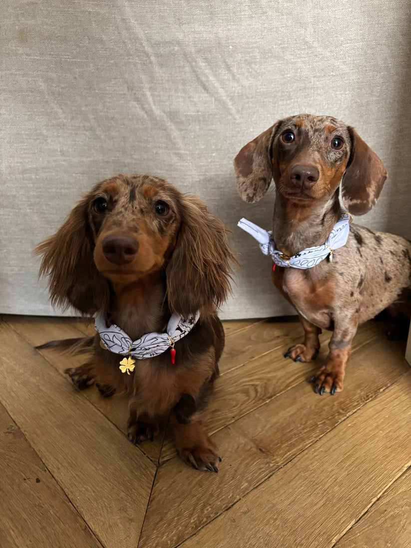 Bandana roulé Lucky