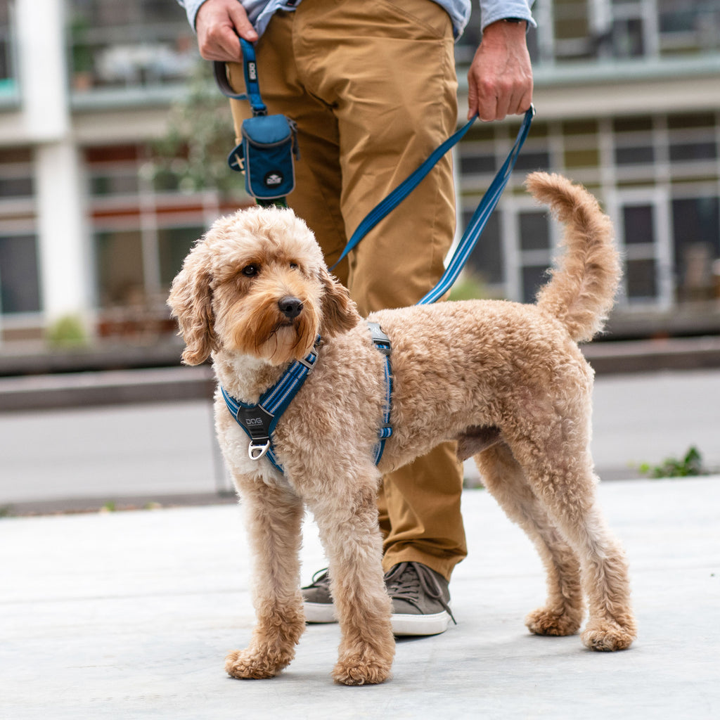 Harnais Comfort Walk Air™