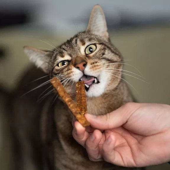 Stick au poulet pour chat