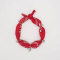 Bandana roulé Woody