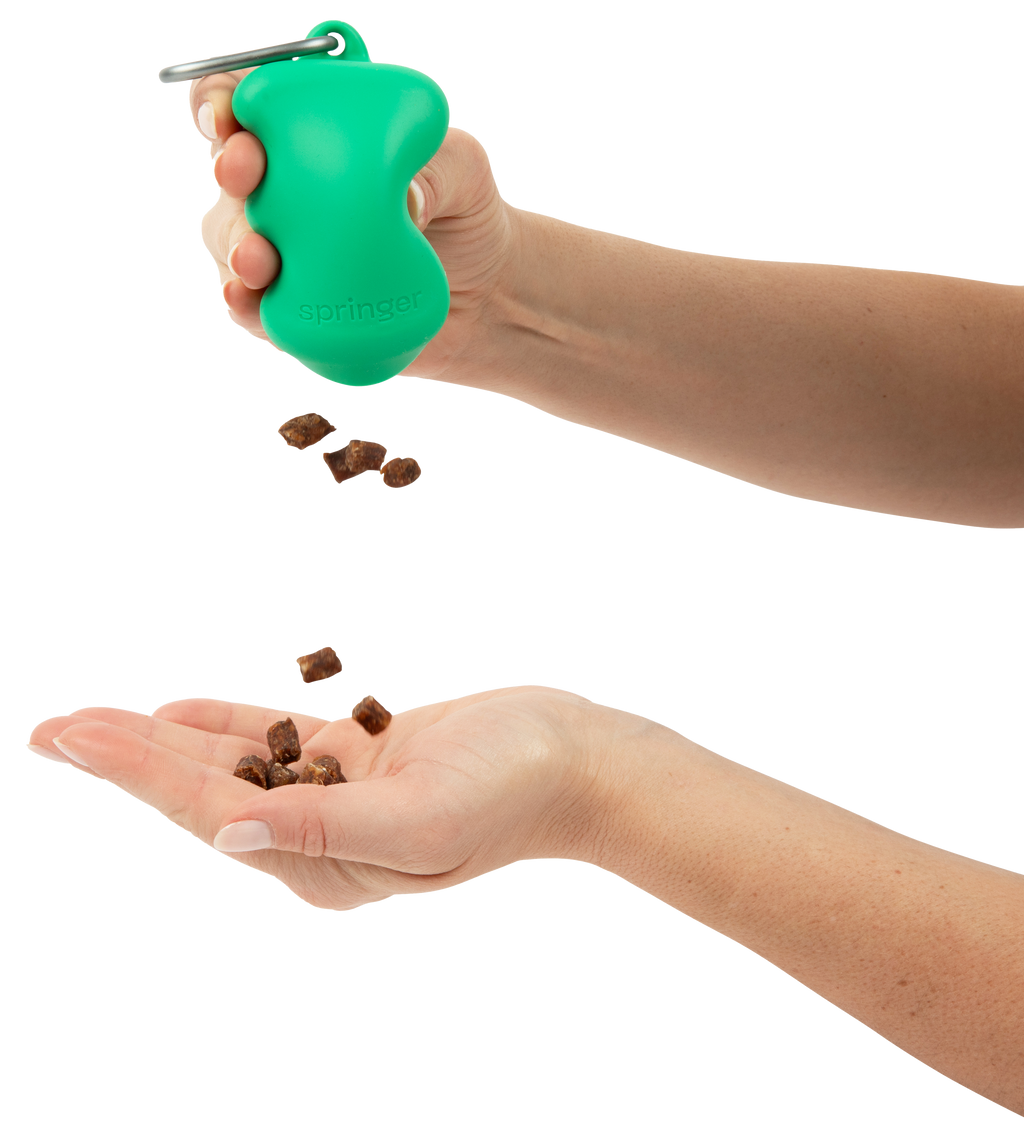 Distributeur de friandises en silicone pour chien