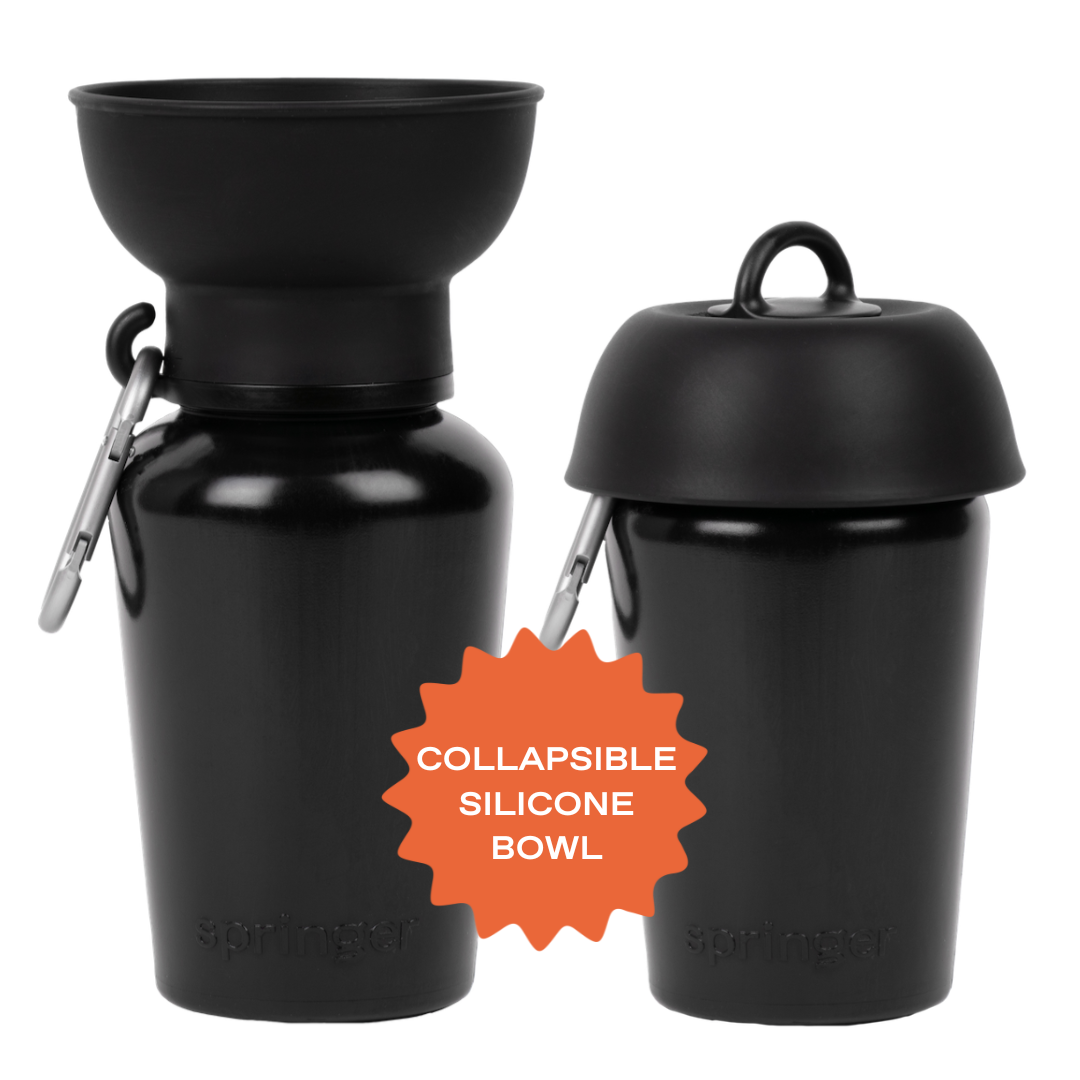 Bouteille d'eau de voyage pour chien 590ml à bouchon flip