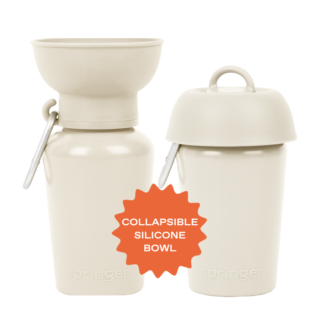 Bouteille d'eau de voyage pour chien 590ml à bouchon flip