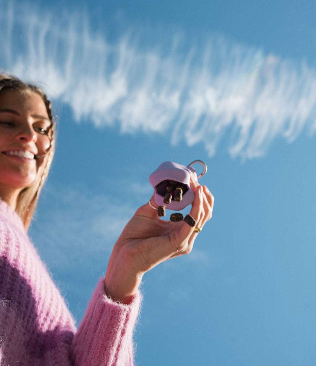 Distributeur de friandises en silicone pour chien