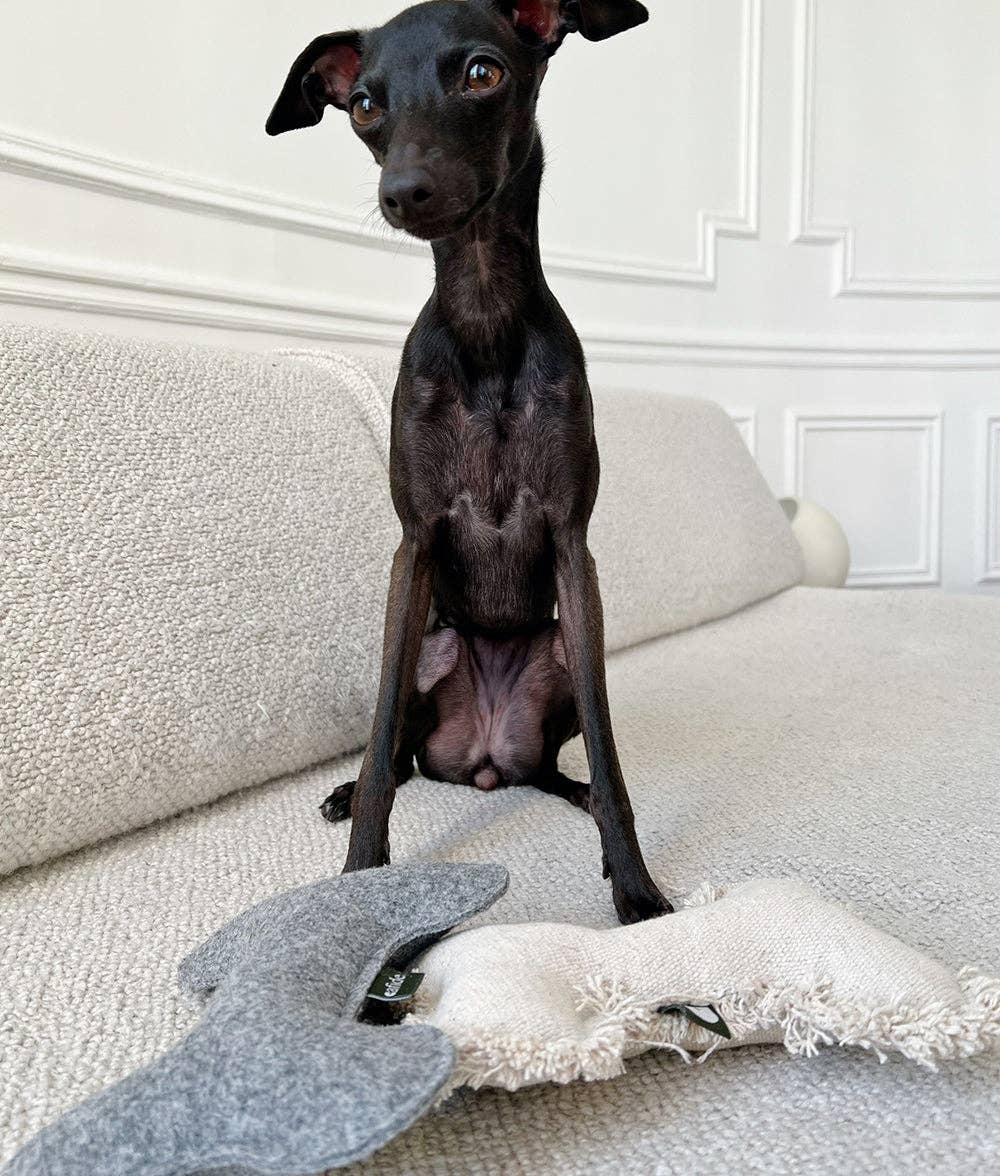 Jouet pour chien beige en forme d’os
