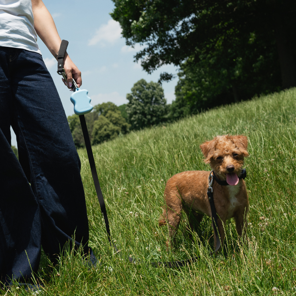Distributeur de friandises en silicone pour chien