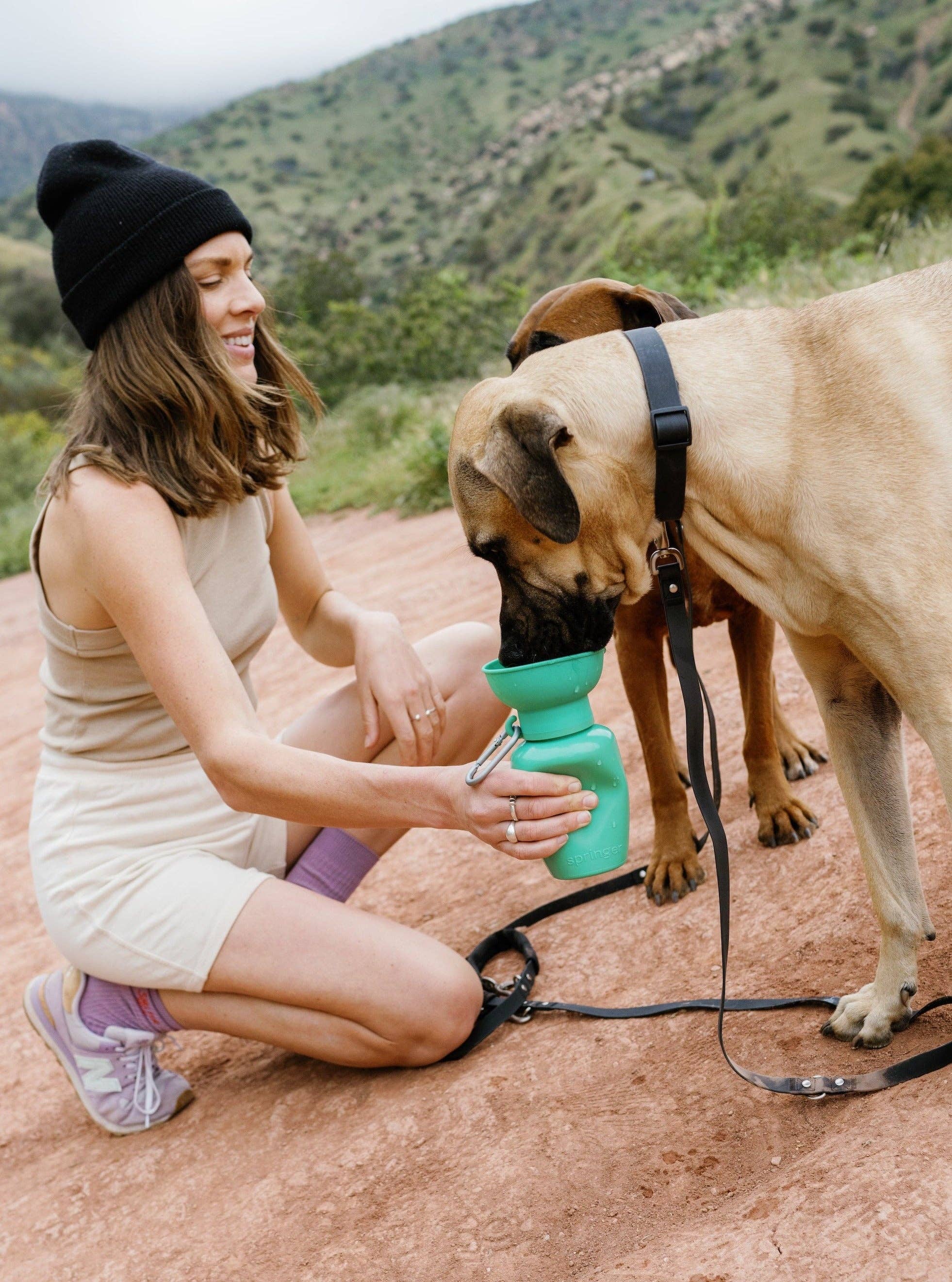 Bouteille d'eau de voyage pour chien 590ml à bouchon flip