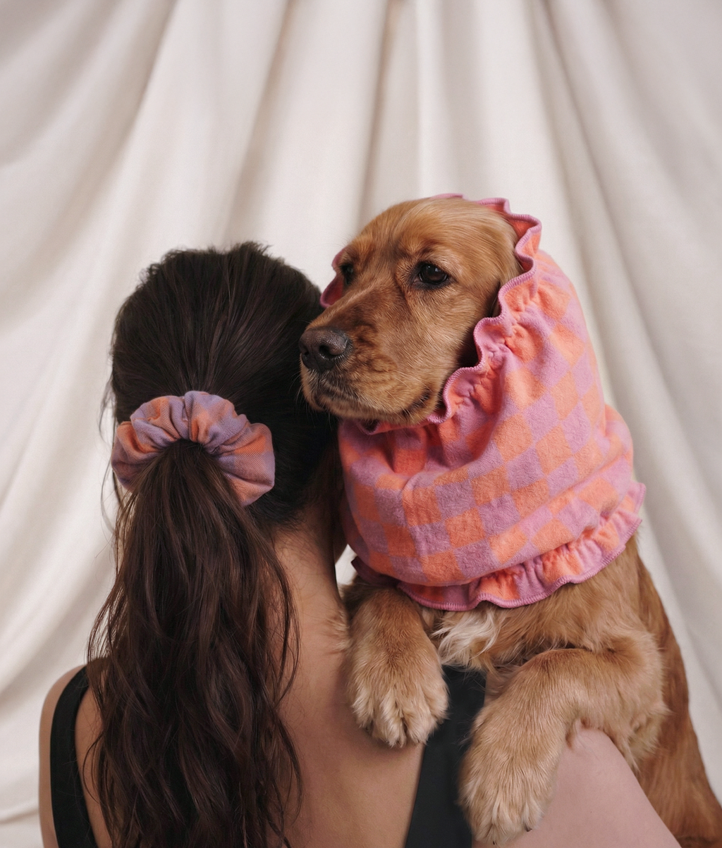 Snood chien motif Vichy violet