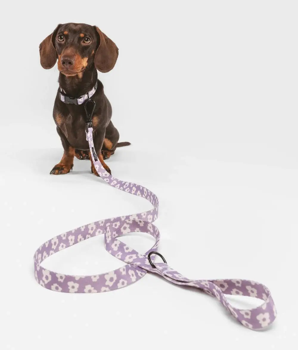 Collier en PET recyclé