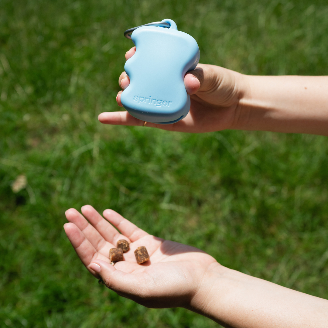 Distributeur de friandises en silicone pour chien