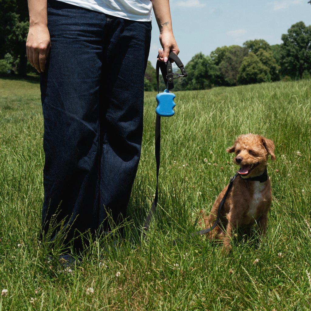 Distributeur de friandises en silicone pour chien