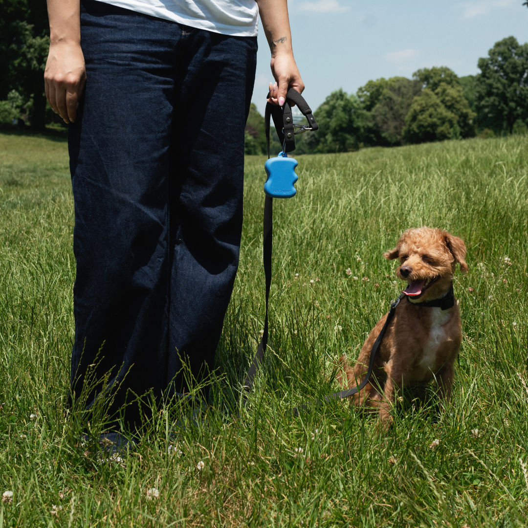 Distributeur de friandises en silicone pour chien