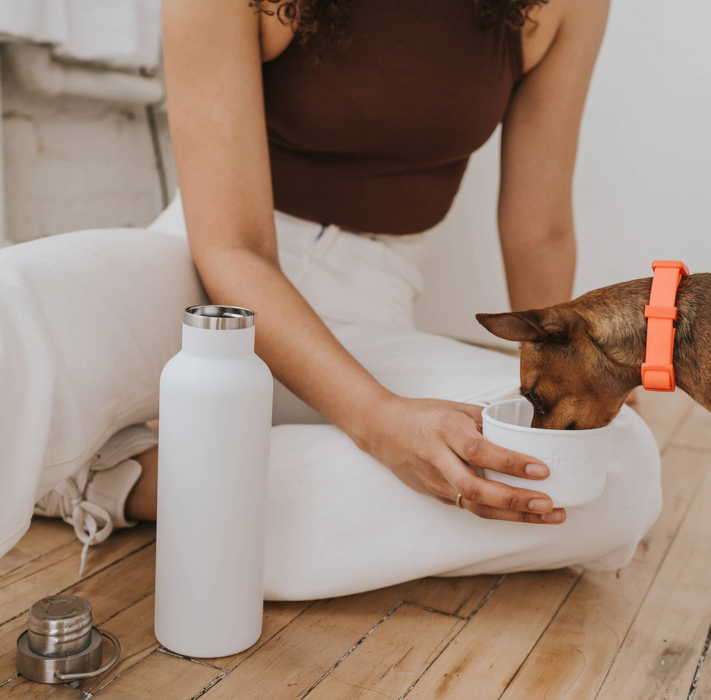 Bouteille isotherme Dog & Me 710 ml avec bol en silicone détachable