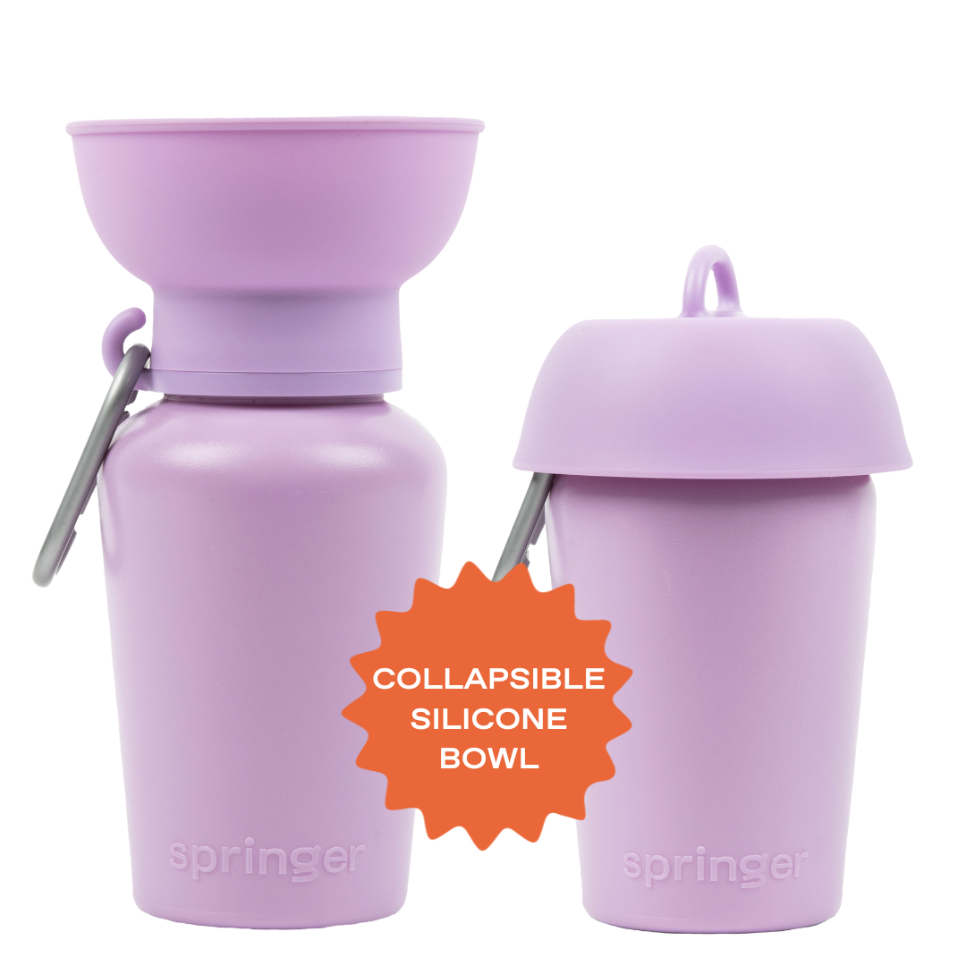 Bouteille d'eau de voyage pour chien 590ml à bouchon flip