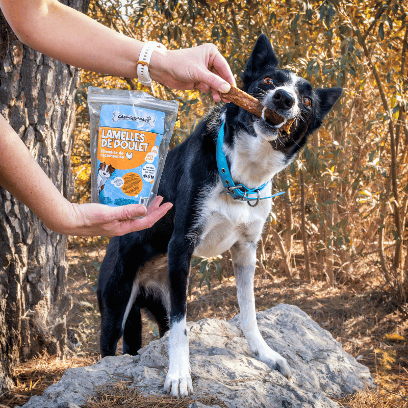 Lamelles 100% poulet