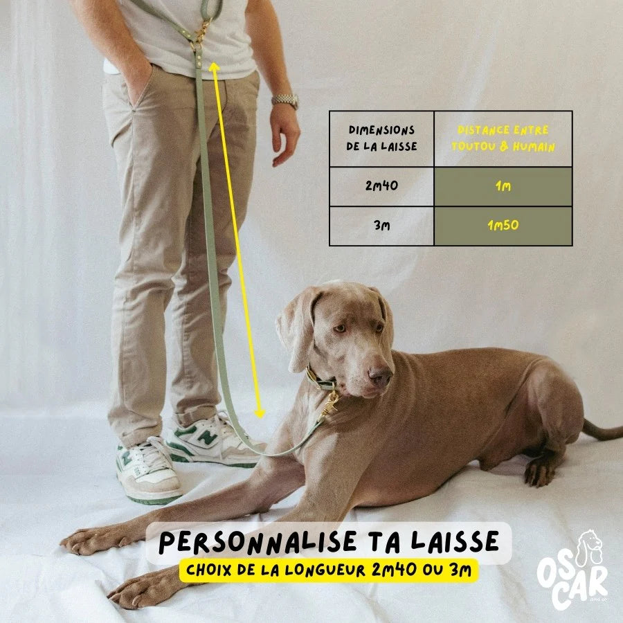 Laisse multi-positions en Biothane
